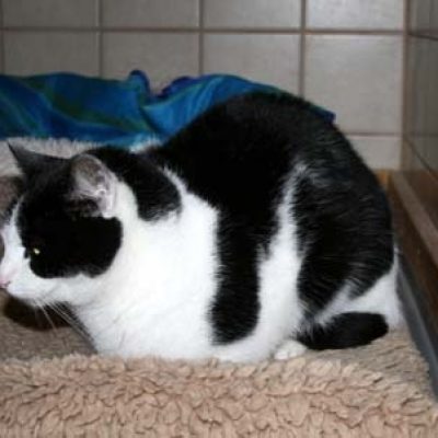 Dc240c00d724ca0776b18bf8d646678c