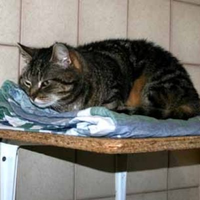 Dc52d5c5f54b7db2dfd2aae465dc6ccd