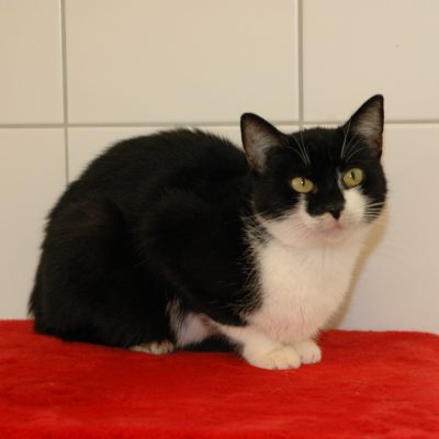 Dd069a914613228b581dab06c9b19d4c