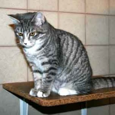 Dd4a14cb5a462a5e4aa2d0280c1c4c76