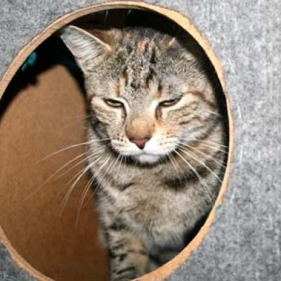 Dee142320ef3bd972685f97312e47fa8