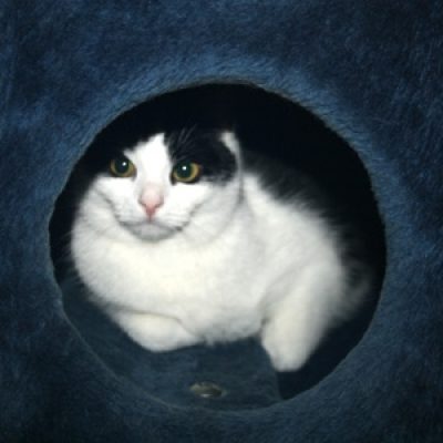 Df4d512006283f3b899f30941e63cf58