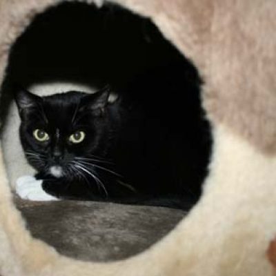 Df635c58c6c7c16f9e0cf7d5b1fc53b0