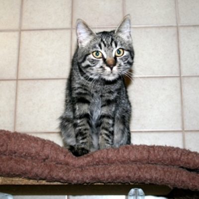 E024813b29ebd45d0ef447940e0ad5c1