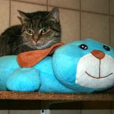 E074902d0ee166958ebf75b7aa2ff003