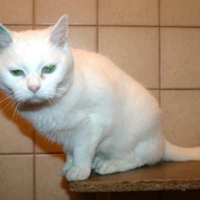 E3ae2e8b288489c1fc189dc8b5a1fd9d