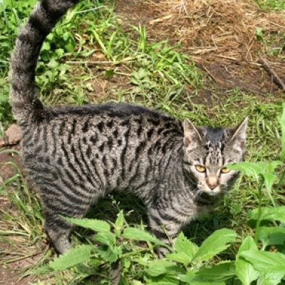 E62681383a22ece70ebf83908f7b7b5d