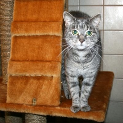 E6be06759b95621101847a64eeb2ad08