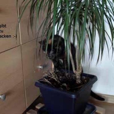 E6c5ec4137a2831befad7e6d46559451