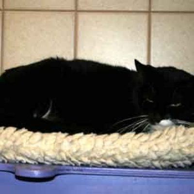 E76b19068b8a7b62bcd7955ba4e97874