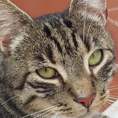 E798ca031ee391803a4d7c77b7db190a