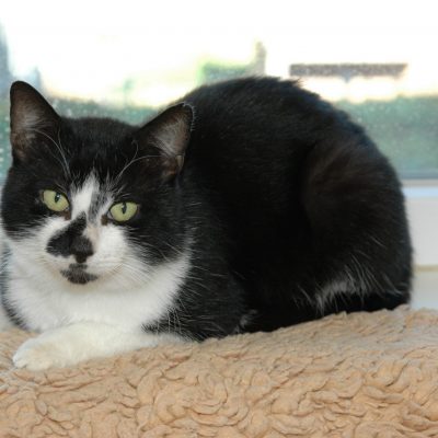 E87b29ab1477476324b0ec81b5af5ddc