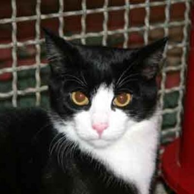 E92dc519c3c1d0000e5795e41f4c6df5