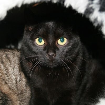 Eb098a80079169f8b4bb4f0c2e92bf79