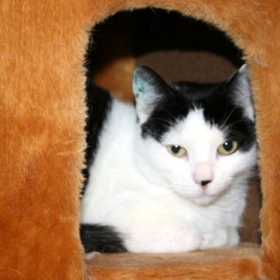 F1a5756636e5aaaa9e63ee727c781a61