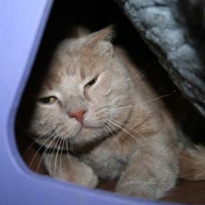 F2a8e1db340eafc0bf214d9e4fb3c763