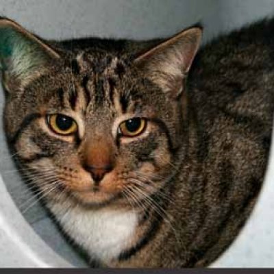 F35cd86e77728ea2e15a1259a0a61c0c