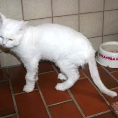 F41687065406fae6d8ff38f5ee43f226