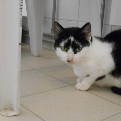 F479606a9275647ef16cfe29d70d3ddd