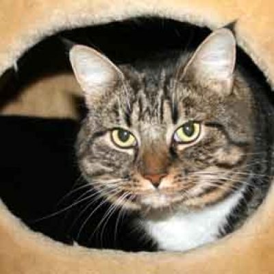 F59925a8b812d135c9eda98fc21a4fc0