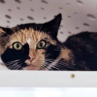 F5bba4c2c069c43174b2441b90991795