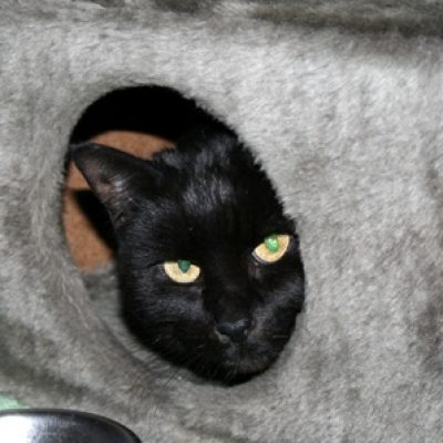 F5fbff22b9d3c08e45a7777ffc5a99de