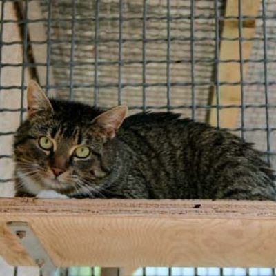 F62a17f794a03b17a2684f0886667d26