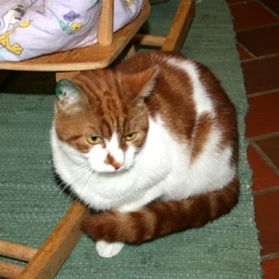 F64b0864e862d3c122851be4770d6e9a