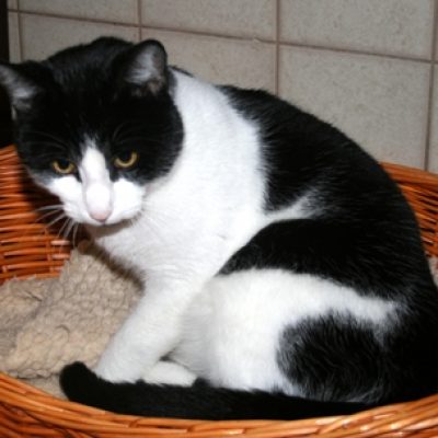 F8918f6ca04ec2baaa305b5b254ce4f1