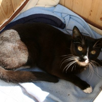 F8a5e5152a56b7390e83035856d02f41