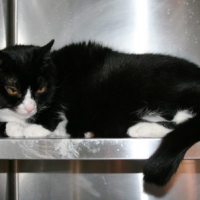 F8b84457f79954b52239c255e44b3bb1