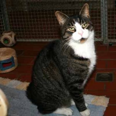 F9fefdb1da7da5688110909fa3039dab