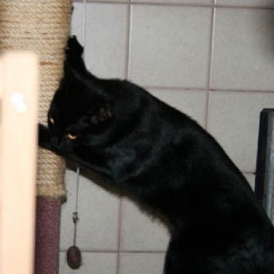 Fe77b047cf65bbf66915926fa3c00c93