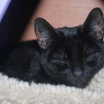 Ffa5879ebf7322761b2511f5a568a91b