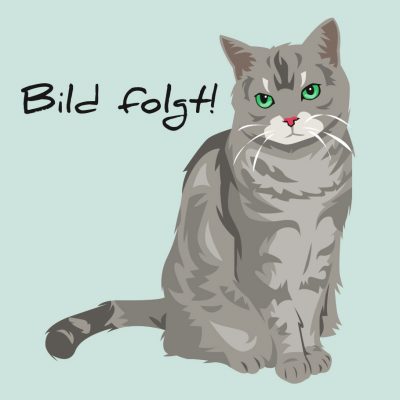 Getigerte Katze Fotoersatz